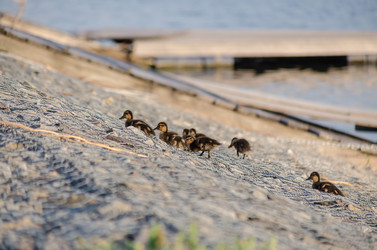 Similar image 22311808