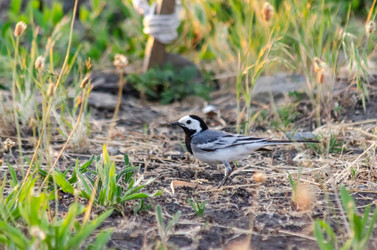 Similar image 22308768