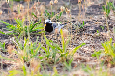 Similar image 22308770