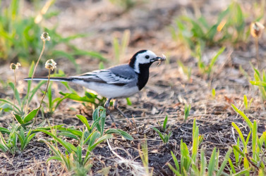 Similar image 22308772