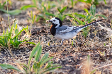 Similar image 22308773