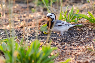 Similar image 22308774