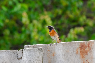 Similar image 22308775