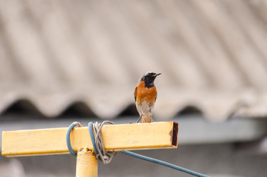 Similar image 22308776