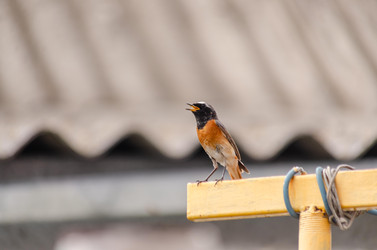 Similar image 22308777