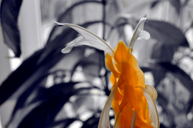 Similar image 22311811