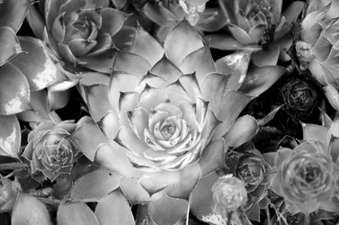 Similar image 22311814