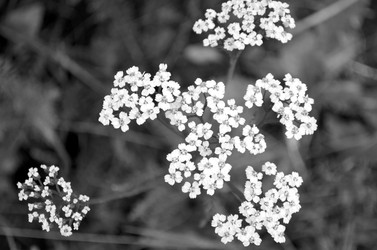 Similar image 22311815