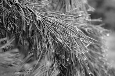 Similar image 22311817