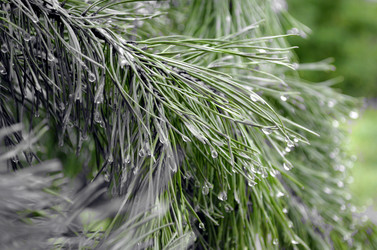 Similar image 22311818