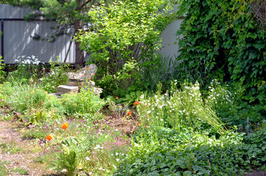 Similar image 22311820