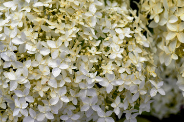 Similar image 22311823