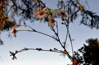 Similar image 22311824