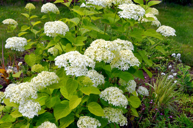 Similar image 22311825