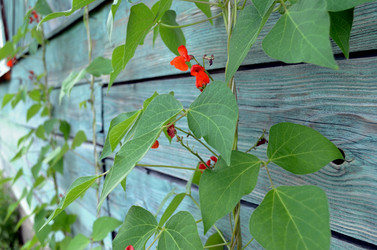 Similar image 22311826