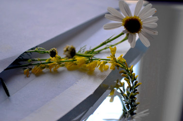 Similar image 22311827