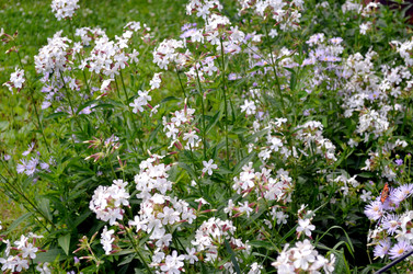 Similar image 22311828