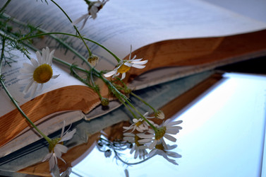 Similar image 22311829