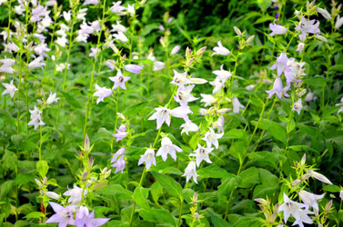 Similar image 22311831