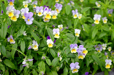 Similar image 22311833