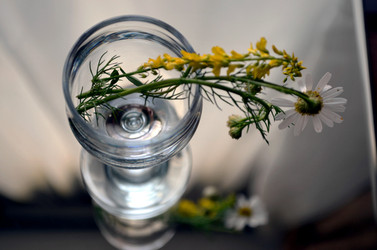 Similar image 22311834