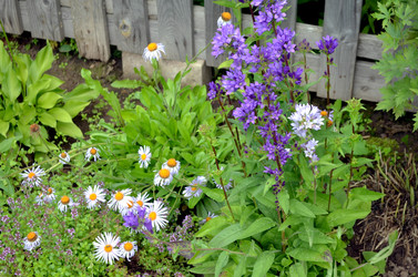 Similar image 22311835