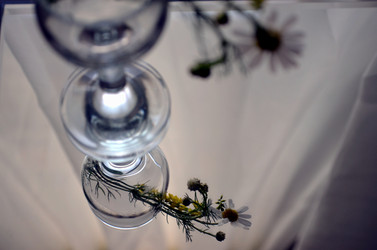 Similar image 22311836