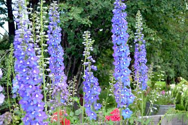 Similar image 22311837