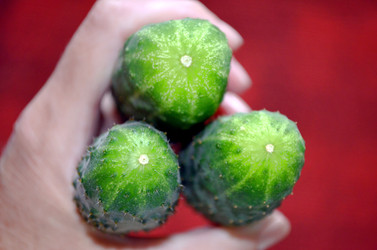 Similar image 22311838