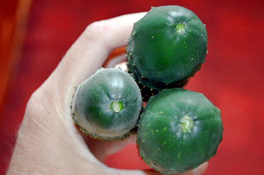 Similar image 22311840