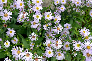 Similar image 22311841