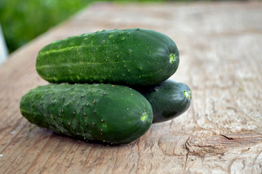 Similar image 22311842