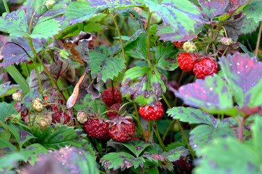 Similar image 22311843