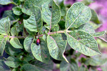 Similar image 22311845