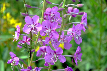 Similar image 22311847