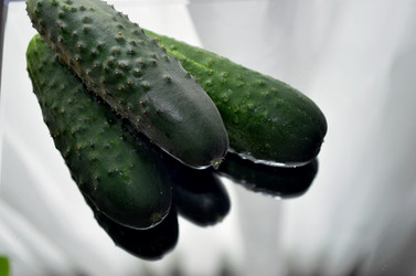 Similar image 22311848