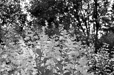 Similar image 22311849