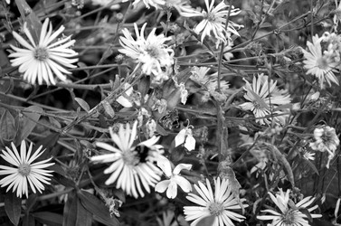 Similar image 22311850