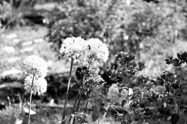 Similar image 22311851