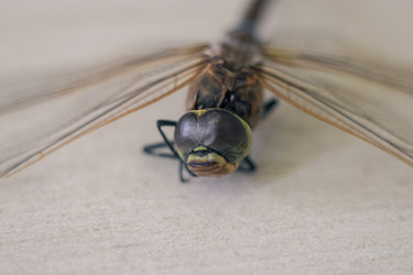 Similar image 22308586