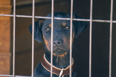 Similar image 22308587