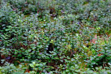 Similar image 22308543