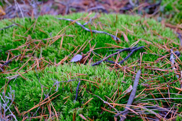 Similar image 22308544