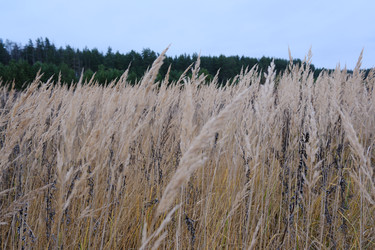 Similar image 22308545