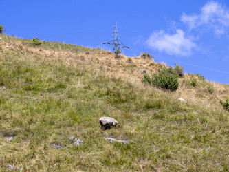 Similar image 22301058