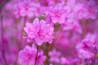 Similar image 22313105