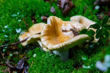 Similar image 22302236