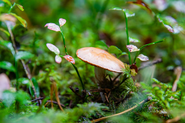 Similar image 22302237