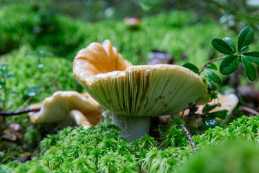 Similar image 22302238