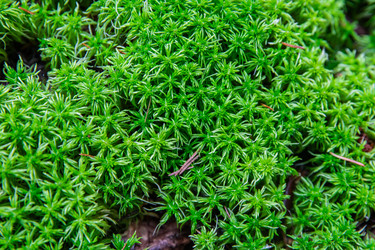 Similar image 22302239